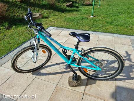 Rower Kross Junior LEA REPLICA