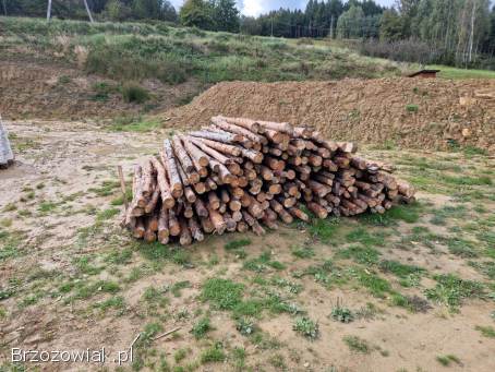Stemple budowlane drewniane 300 sztuk