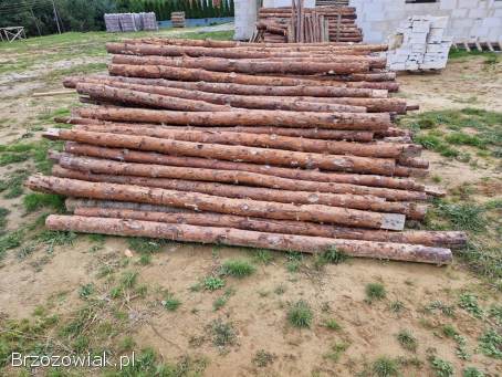 Stemple budowlane drewniane 300 sztuk