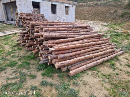 Stemple budowlane drewniane 300 sztuk