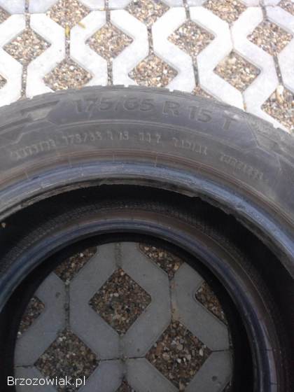 Opony Barum Bravuris 5 175/65 R15