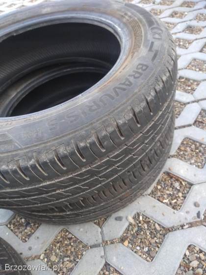 Opony Barum Bravuris 5 175/65 R15