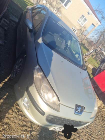Peugeot 407 Angielska  2004