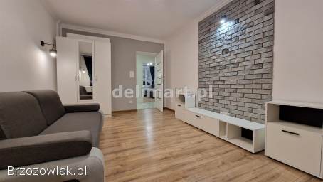 Sanok-Śródmieście,  2 pokojowe mieszkanie do wynajęcia 43,  3 m2 (MW-319)