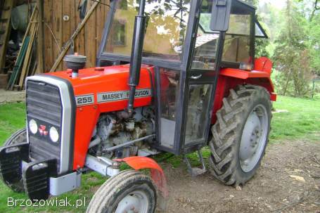 Sprzedam MF 255 r 1987