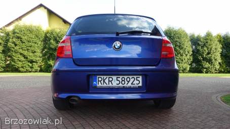 BMW Seria 1 118d,  typ E87 2010