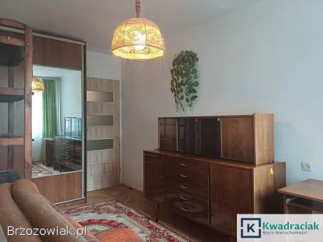 Mieszkanie w Centrum Krosna