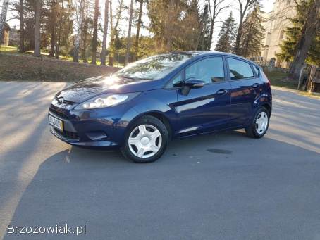 Ford Fiesta 1.  25  2011