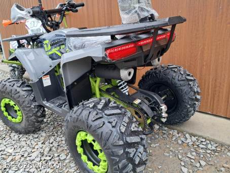 Nowość 2025 quad Diabolini Snake 125 duże koła,  licznik,  automat,  oparcie atv