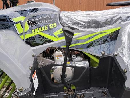 Nowość 2025 quad Diabolini Snake 125 duże koła,  licznik,  automat,  oparcie atv