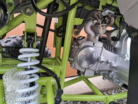 Nowość 2025 quad Diabolini Snake 125 duże koła,  licznik,  automat,  oparcie atv