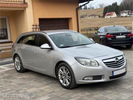 Opel Insignia Bogata opcja 2011