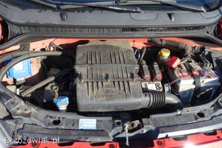 Ford KA 2 2009