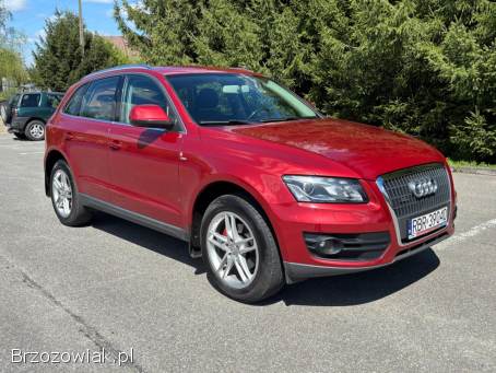 Audi Q5 2010