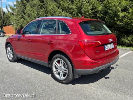 Audi Q5 2010