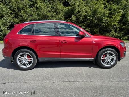 Audi Q5 2010