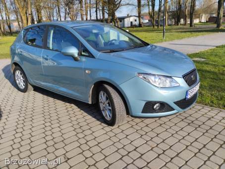 Seat Ibiza 2009