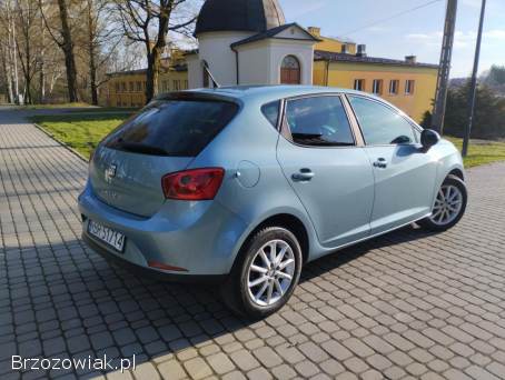 Seat Ibiza 2009