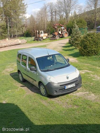 Renault Kangoo 2 2009