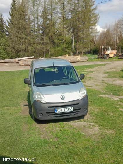 Renault Kangoo 2 2009