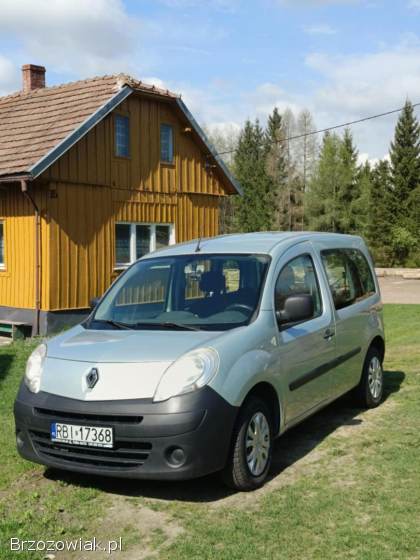 Renault Kangoo 2 2009