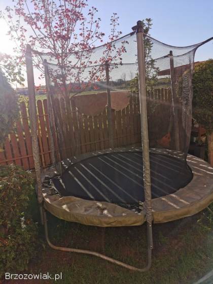 Trampolina
