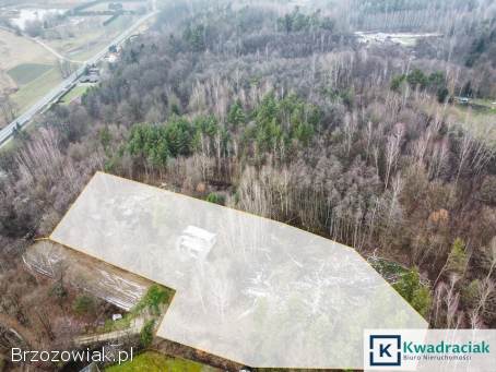 Kompleks działek w Krajowicach