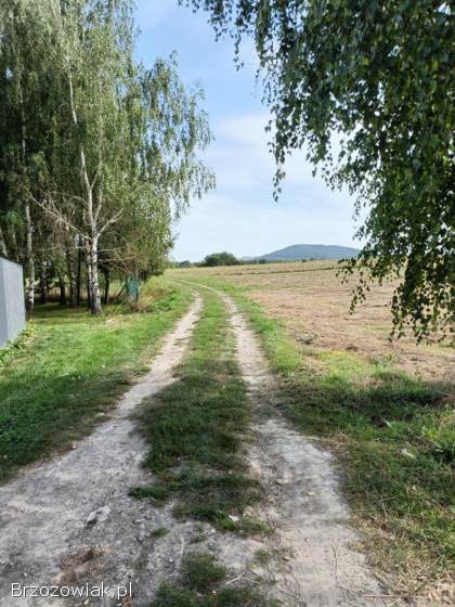 Lalin -  działka idealna pod domki letniskowe