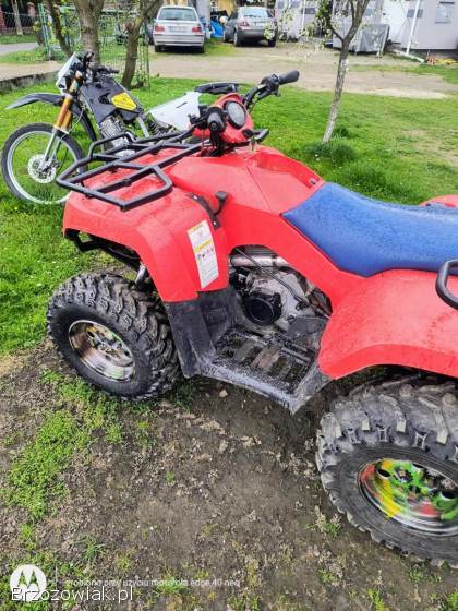 Arctic Cat 400 Suzuki