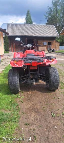 Quad 650 4x4