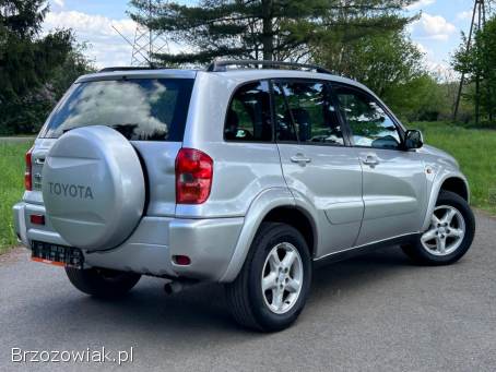 Toyota RAV4 4x4 2003