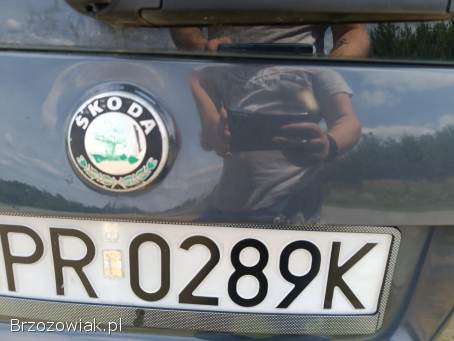 Škoda Roomster 2008