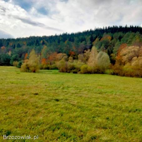 Atrakcyjna działka Beskid Niski,  Dukielszczyzna