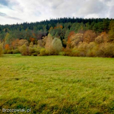 Atrakcyjna działka Beskid Niski,  Dukielszczyzna