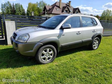 Hyundai Tucson 2004