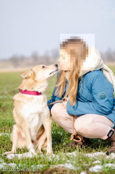 Wspaniała,  spokojna Elza uratowana z piekła