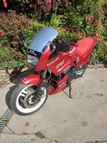 Kawasaki GPZ Sport 1993