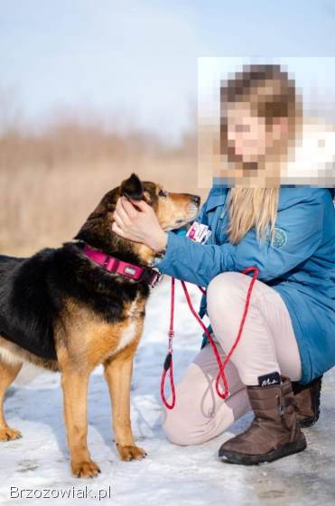 Lina -  czułość na czterech łapkach BŁAGA o dom!