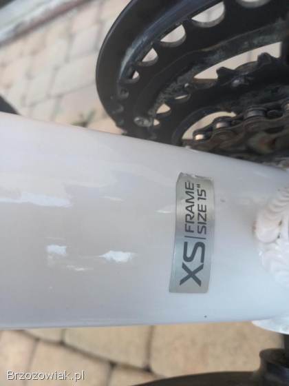 Rower Kross Lea 1.  0