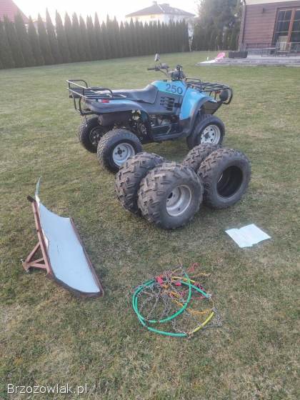 Quad linhai 260