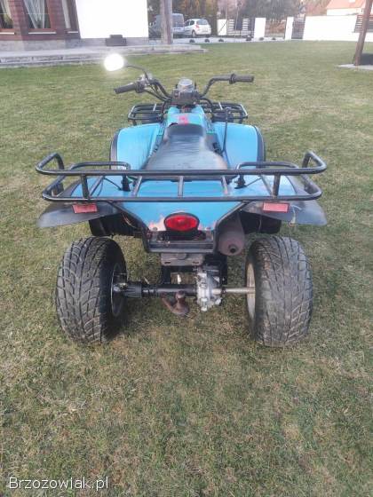 Quad linhai 260