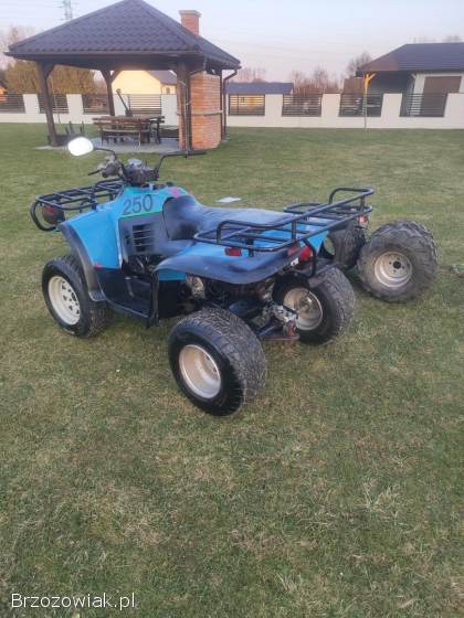 Quad linhai 260