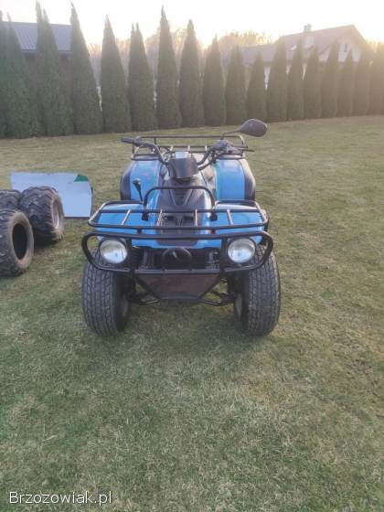 Quad linhai 260