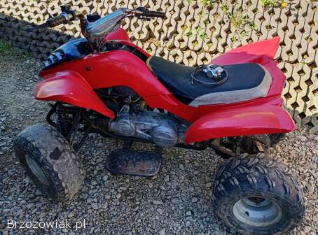 Quad 150
