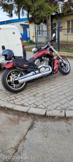 Harley-Davidson V-Rod Muscle 2009