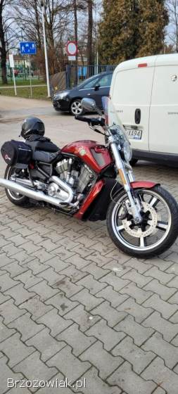 Harley-Davidson V-Rod Muscle 2009