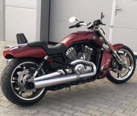 Harley-Davidson V-Rod Muscle 2009