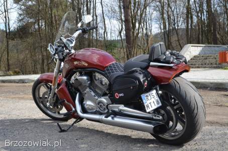 Harley-Davidson V-Rod Muscle 2009