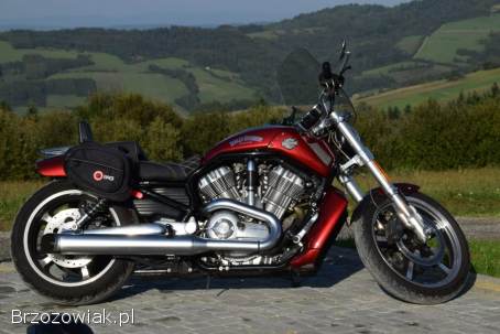 Harley-Davidson V-Rod Muscle 2009