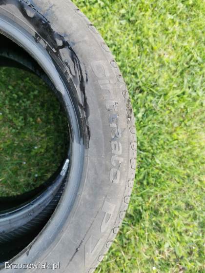 Pirelli cinturauto 205/55 R16 91V.